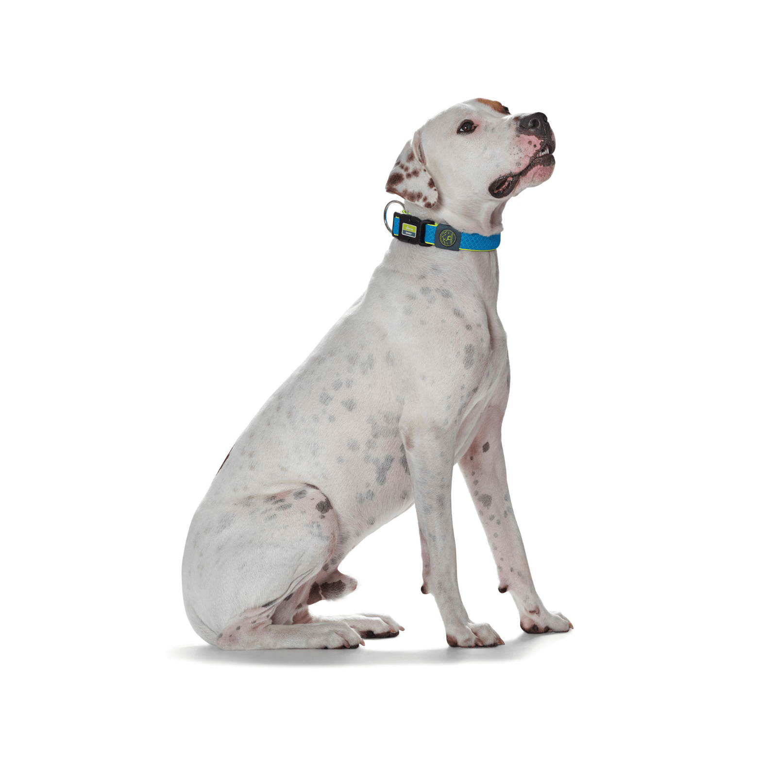 Hunter Maui Vario Plus Dog Collar Heavy Duty Clasp Buckle