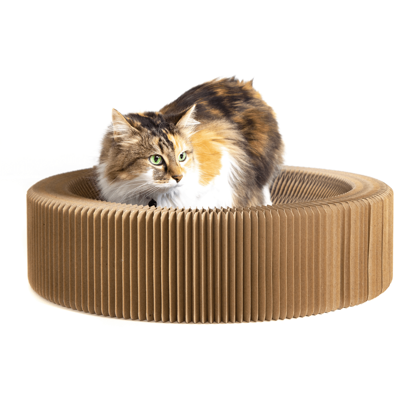 Cat Scratcher Collapsible Lounge, Round Scratching Board & Bed
